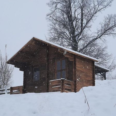 Cottage Bara Božanov 外观 照片